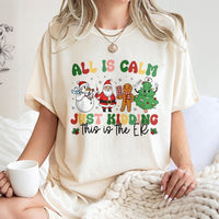 Nurse Christmas T-Shirt, All Is Calm Just Kidding ER Shirt, Humorous ER Holiday Tee, Medical Staff Xmas Graphic Shirt, ER Nurse Present