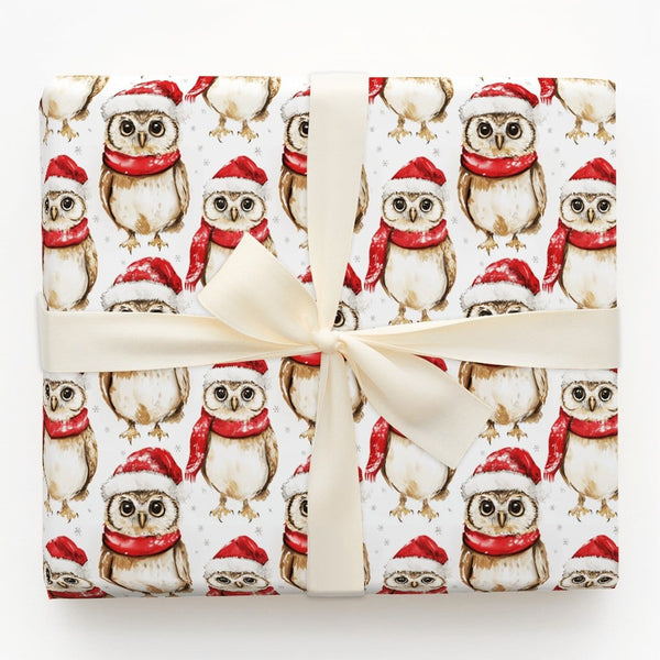 Watercolor Winter Owl Gift Wrap, Christmas Owl Wrapping Paper, Santa Hat Woodland Owl Wrapping Paper, Festive Holiday Bird Gi