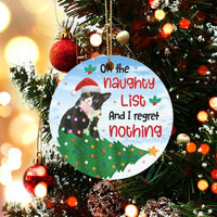 Humorous Naughty List Cat Ornament, Tuxedo Cat Christmas Ornament, Adorable Pet Holiday Ceramic Ornament, Cat Lover Xmas Tree Keepsake Present