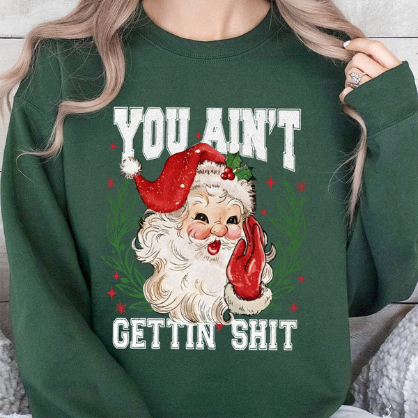 Humorous Retro Santa Sweatshirt, You Ain't Gettin Shit Sweatshirt, Naughty List Xmas Crewneck, Humor Holiday Pullover, Adult 