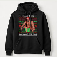 Humorous Adult Meme Holiday Sweatshirt, Big Package Ugly Christmas Hoodie, Sarcastic Dirty Santa Gag Present Pullover, Naughty Xmas Hoodie