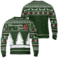 Not Naughty Just 67 Sweatshirt, 67th Birthday Ugly Christmas Sweater, Humorous Holiday Party Pullover, 67 Year Old Xmas Present