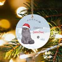 Adorable Grey Cat Christmas Ornament, I Believe in Santa Paws Ornament, Ceramic Kitten Tree Ornament, Holiday Keepsake Present for Cat Lovers