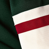 Minnesota Wild Green Home Authentic Pro Custom Jersey