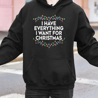Matching Couple Christmas Lights Sweatshirt, I Have Everything I Want for Christmas Hoodie, Humorous Xmas Pullover, Comfy Holiday Present