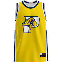 Pace University Setters Lightweight Basketball Jersey - Blue