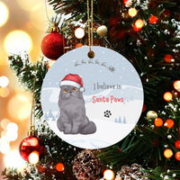 Adorable Grey Cat Christmas Ornament, I Believe in Santa Paws Ornament, Ceramic Kitten Tree Ornament, Holiday Keepsake Present for Cat Lovers
