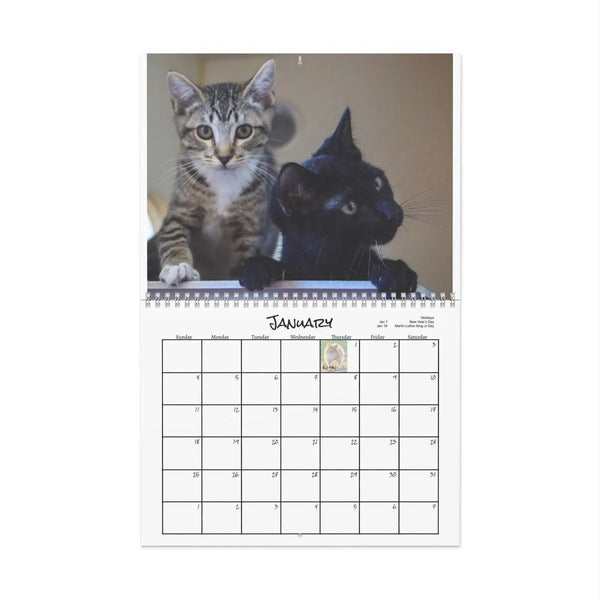 Rescue Kitties Calendar, 2026 Cat Wall Calendar, Adorable Kitten Monthly Calendar, Animal Lover Wall Decor, Cat Mom Christmas