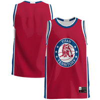 Detroit Mercy Titans Lightweight Basketball Jersey - Blue
