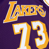 Los Angeles Lakers Dennis Rodman 1998 Road Authentic Jersey - Purple
