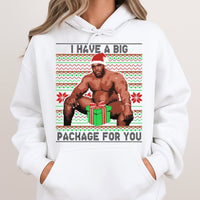 Humorous Adult Meme Holiday Sweatshirt, Big Package Ugly Christmas Hoodie, Sarcastic Dirty Santa Gag Present Pullover, Naughty Xmas Hoodie