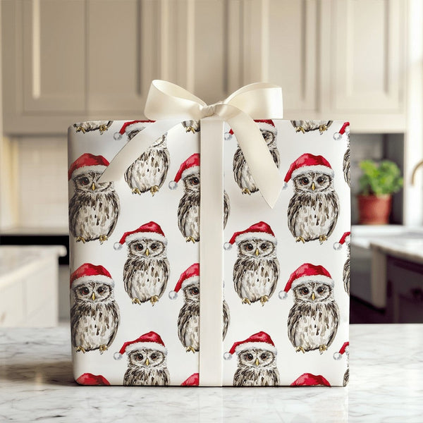 Santa Hat Birds Watercolor Gift Wrap, Christmas Owl Wrapping Paper, Adorable Festive Animal Wrapping Paper, Winter Holiday Xm