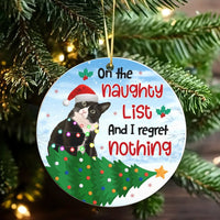 Humorous Naughty List Cat Ornament, Tuxedo Cat Christmas Ornament, Adorable Pet Holiday Ceramic Ornament, Cat Lover Xmas Tree Keepsake Present