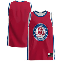Detroit Mercy Titans Lightweight Basketball Jersey - Blue
