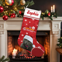 Custom Photo Cat Holiday Stocking, Personalized Cat Christmas Stocking, Pet Lover Christmas Stocking, Adorable Kitten Fireplace Decor Present
