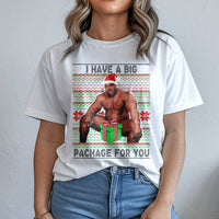 Humorous Meme Ugly Christmas Shirt, Barry Big Package Christmas Shirt, Holiday Gag Graphic Tee, Humor Secret Santa Top, Adult Christmas Shirt
