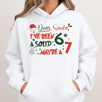 Humorous Christmas Meme Sweatshirt, Dear Santa I've Been A Solid 7 Hoodie, Humorous Holiday Hooded Sweater, Sarcastic Xmas Graphic Present