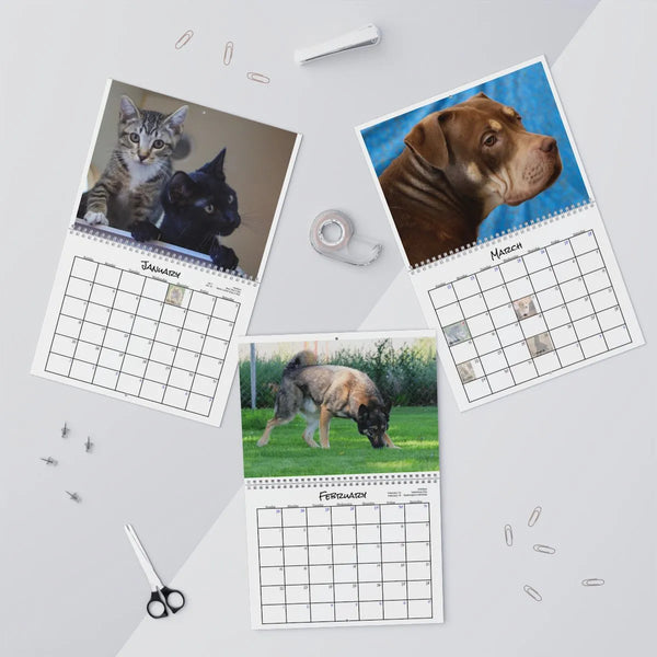 Rescue Kitties Calendar, 2026 Cat Wall Calendar, Adorable Kitten Monthly Calendar, Animal Lover Wall Decor, Cat Mom Christmas
