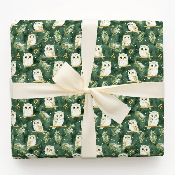 Forest Green Christmas Gift Wrap, Woodland Owl Wrapping Paper, Watercolor Winter Pine Present Paper, Snowy Bird Holiday Wrapp