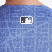 Washington Nationals Blue 2025 City Connect Limited Jersey