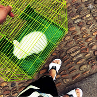 Retro Slides, White Black Colorway, Slip On Design, Casual Gift for Shoe Lovers