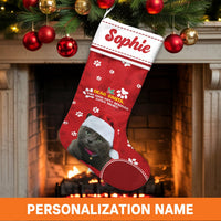Custom Photo Cat Holiday Stocking, Personalized Cat Christmas Stocking, Pet Lover Christmas Stocking, Adorable Kitten Fireplace Decor Present