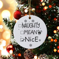 Humorous Holiday Ceramic Ornament, Naughty Mean Nice Checklist Christmas Ornament, Adorable Santa List Tree Ornament, Novelty Xmas Keepsake