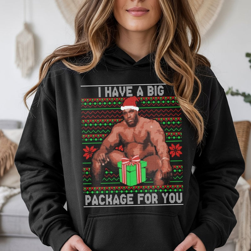 Humorous Adult Meme Holiday Sweatshirt, Big Package Ugly Christmas Hoodie, Sarcastic Dirty Santa Gag Present Pullover, Naughty Xmas Hoodie