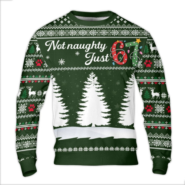 Not Naughty Just 67 Sweatshirt, 67th Birthday Ugly Christmas Sweater, Humorous Holiday Party Pullover, 67 Year Old Xmas Prese