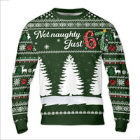 Not Naughty Just 67 Sweatshirt, 67th Birthday Ugly Christmas Sweater, Humorous Holiday Party Pullover, 67 Year Old Xmas Present