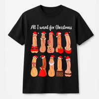 Humorous Adult Christmas T-Shirt, All I Want for Christmas Is Naughty Shirt, Sarcastic Holiday Party Humor Tee, Naughty List Graphic T-Shirt