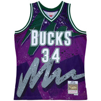 Milwaukee Bucks Hyper Hoops Swingman Jersey - Ray Allen - Purple