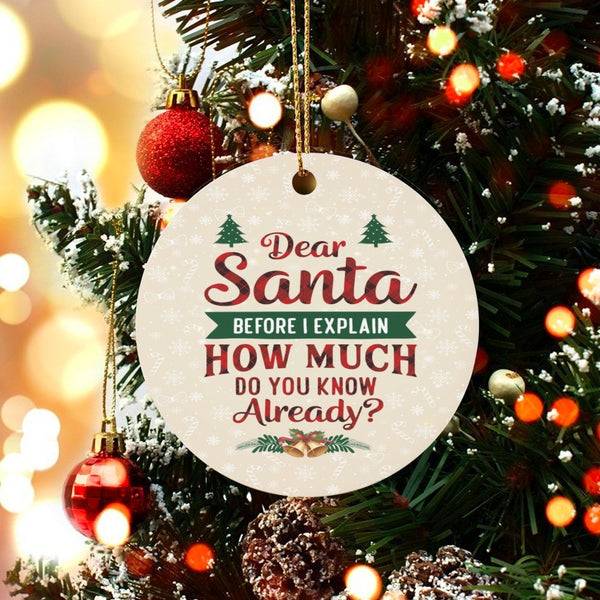 Humorous Christmas Quote Ornament, Dear Santa Before I Explain Ornament, Humorous Holiday Tree Ornament, Ceramic Circle Keeps