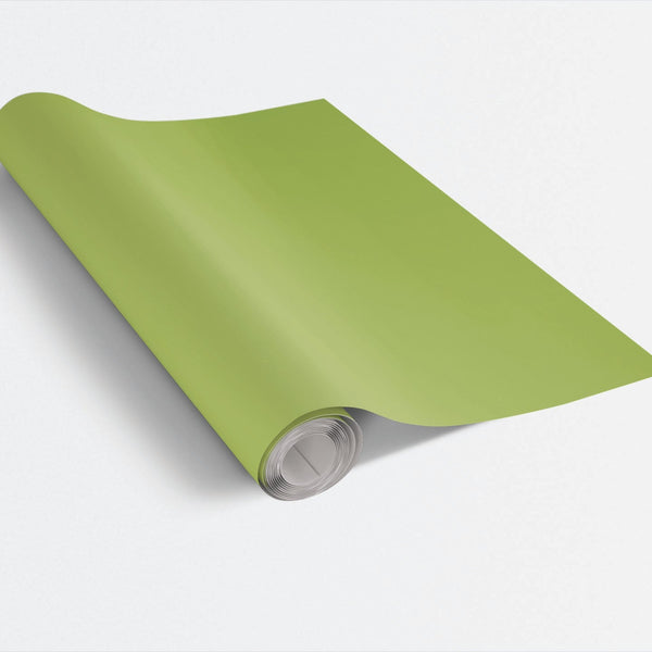 Minimalist Matte Glossy Gift Wrap Roll, Solid Spring Green Wrapping Paper, Birthday Wrapping Paper, Christmas Holiday Present
