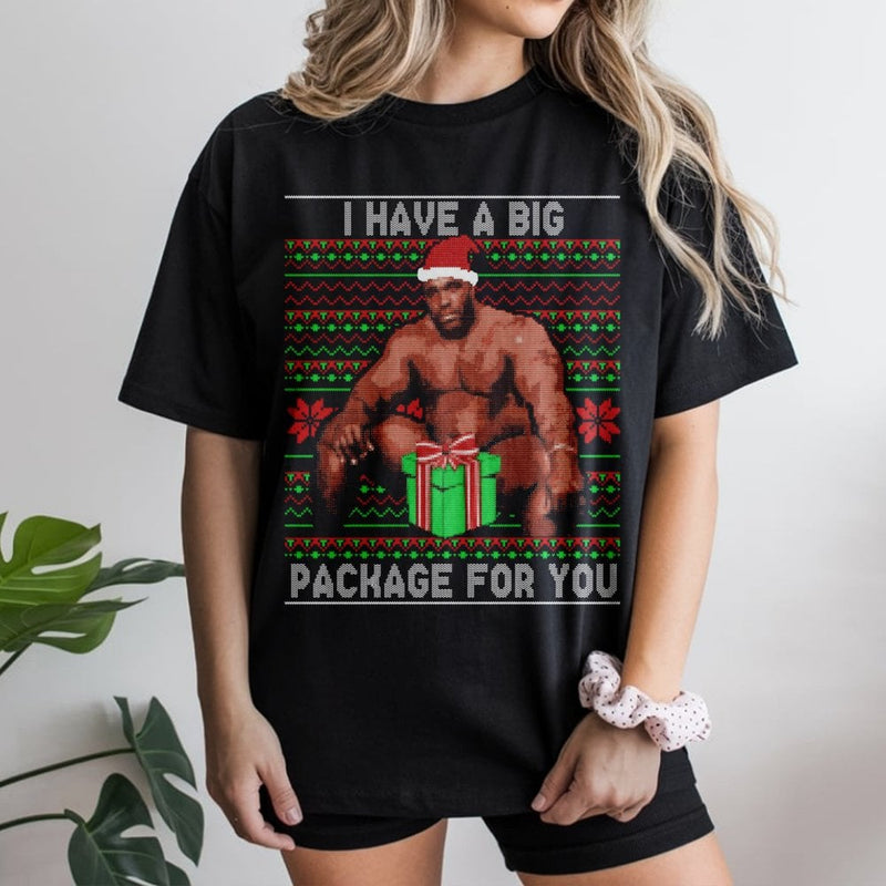 Humorous Meme Ugly Christmas Shirt, Barry Big Package Christmas Shirt, Holiday Gag Graphic Tee, Humor Secret Santa Top, Adult Christmas Shirt
