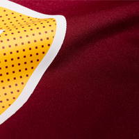 Washington Commanders Car'lin Vigers Burgundy Team Game Jersey