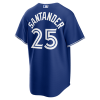 Toronto Blue Jays Anthony Santander Royal Alternate Replica Jersey