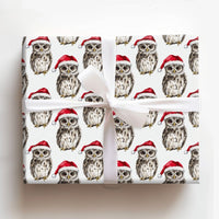 Santa Hat Birds Watercolor Gift Wrap, Christmas Owl Wrapping Paper, Adorable Festive Animal Wrapping Paper, Winter Holiday Xmas Present Supplies