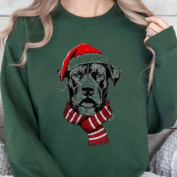 Adorable Santa Hat Dog Sweater, Christmas Dog Sweatshirt, Holiday Dog Lover Sweatshirt, Festive Pet Dog Sweatshirt, Puppy Xma