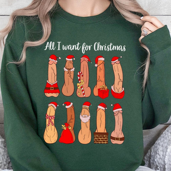 Naughty Sarcastic Holiday Crewneck, All I Want for Christmas Humorous Adult Sweatshirt, Dirty Humor Xmas Pullover