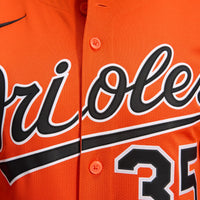 Baltimore Orioles Adley Rutschman Orange 2nd Alternate Limited Player Jersey