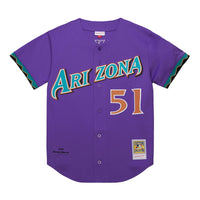 Arizona Diamondbacks Randy Johnson Purple 2000 Throwback Authentic Jersey