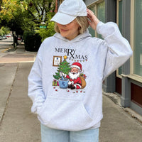 Humorous Pharmacy Christmas Hoodie, Santa Mixing Pills Pharmacist Hoodie, Pharm Tech Holiday Pullover, Medical Rx Xmas Hooded Sweatshirt Present