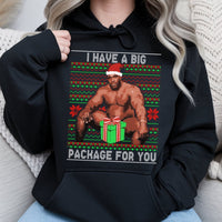 Humorous Adult Meme Holiday Sweatshirt, Big Package Ugly Christmas Hoodie, Sarcastic Dirty Santa Gag Present Pullover, Naughty Xmas Hoodie