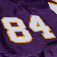 Minnesota Vikings Randy Moss Purple 2001 Authentic Throwback Jersey
