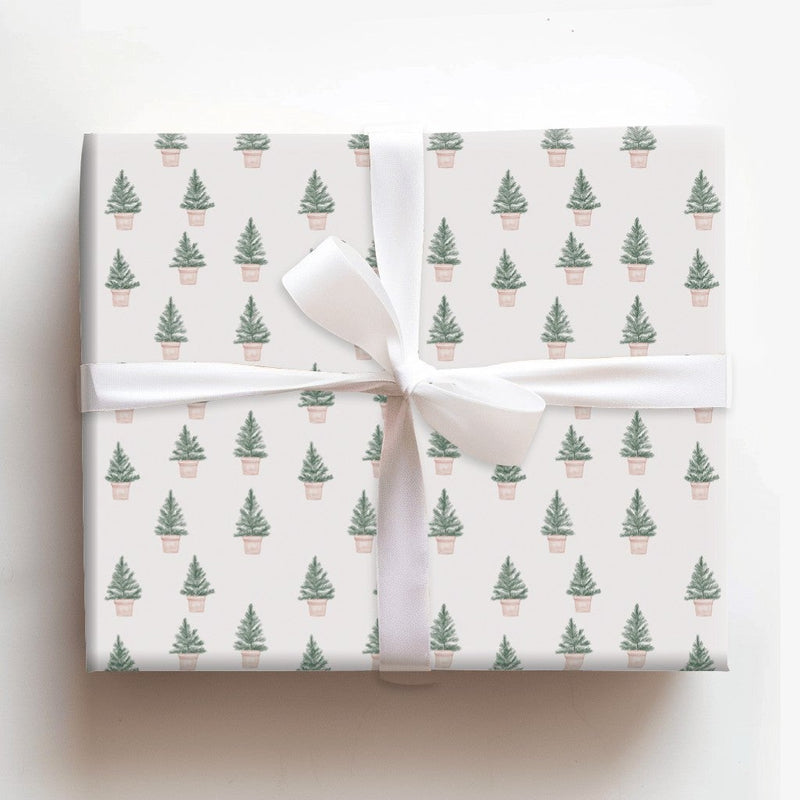 Minimalist Pine Holiday Gift Wrap, Potted Christmas Tree Wrapping Paper, Pink Pot Tree Wrapping Paper, Modern Festive Gift Wrap Roll