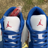 Low Top Sneakers, Blue Colorway, Lace Up Design, Casual Gift for Sneaker Fans