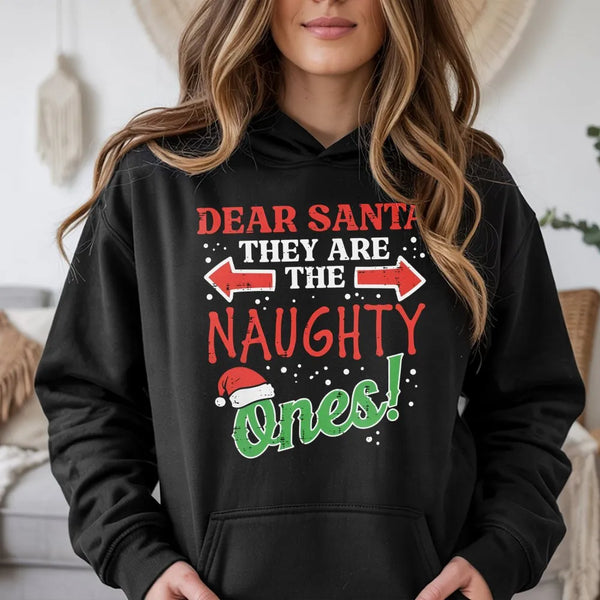 Humorous Christmas Family Matching Hoodie, Dear Santa They Are the Naughty Ones Hoodie, Humorous Xmas Hooded Sweatshirt, Holi