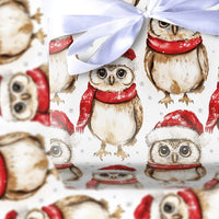 Watercolor Winter Owl Gift Wrap, Christmas Owl Wrapping Paper, Santa Hat Woodland Owl Wrapping Paper, Festive Holiday Bird Gift Wrap Roll