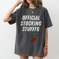 Humorous Sarcastic Holiday Graphic Tee, Stocking Stuffer Christmas T-Shirt, Santa Naughty List Xmas Shirt, Adult Humor Christmas Party Top